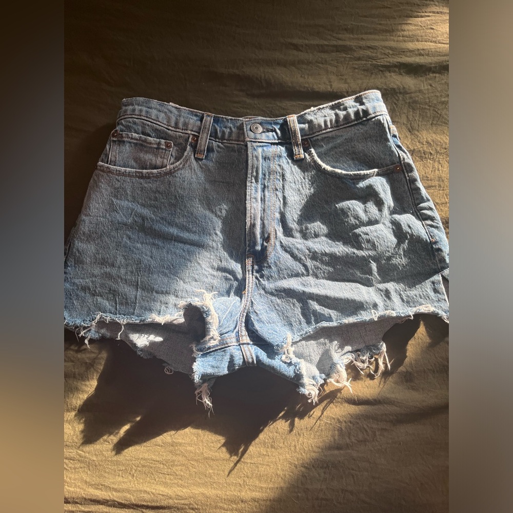 Abercrombie and fitch Curve Love Mom Shorts